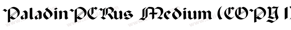 PaladinPCRus Medium (COPY 1)字体转换